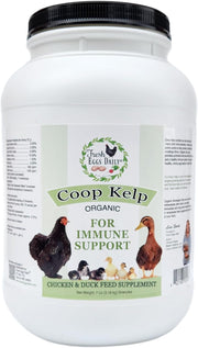 Fresh Eggs Daily Coop Kelp Organic Feed Supplement Vitamins for Backyard Chickens and Ducks 7LB