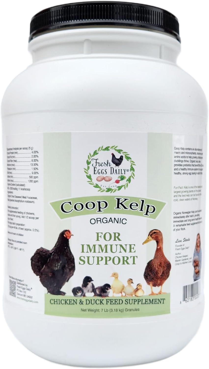 Fresh Eggs Daily Coop Kelp Organic Feed Supplement Vitamins for Backyard Chickens and Ducks 7LB