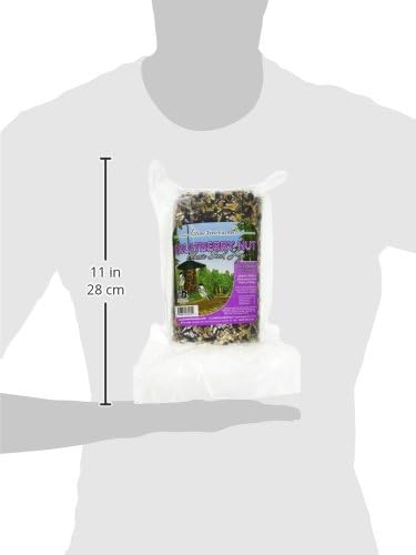 Pine Tree 8005 Fruit Berry Nut Classic Seed Log, 28-Ounce