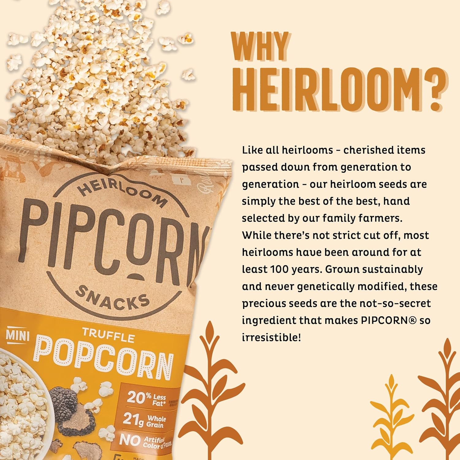 Pipcorn Heirloom Truffle Mini Popcorn - (3 Pack of 4.5oz Bags) - Vegan, No Artificial Anything, Non-GMO Heirloom Corn, No Preservatives, Soy Free, Zero Trans Fat, Gluten Free